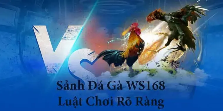 Kinh Nghiệm Chơi Đá Gà WS168 Tại AE888 Bất Bại Giúp Bạn Làm Giàu Nhanh Chóng