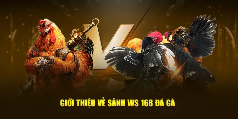 Kinh Nghiệm Chơi Đá Gà WS168 Tại AE888 Bất Bại Giúp Bạn Làm Giàu Nhanh Chóng