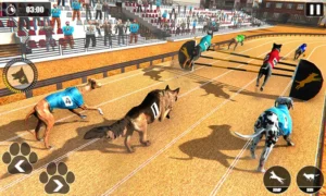 Cách Chơi Game Nhanh Đua Chó Tại AE888 Đơn Giản Thắng Đậm